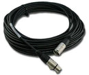 CABLE XLR 25